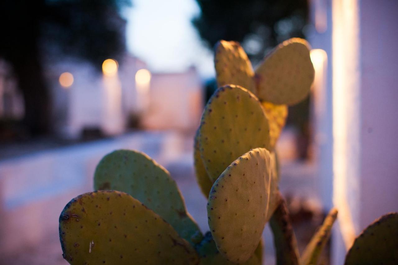 Masseria Cimino Savelletri ภายนอก รูปภาพ